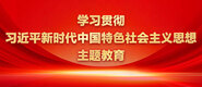 爱逼插站学习贯彻习近平新时代中国特色社会主义思想主题教育_fororder_ad-371X160(2)